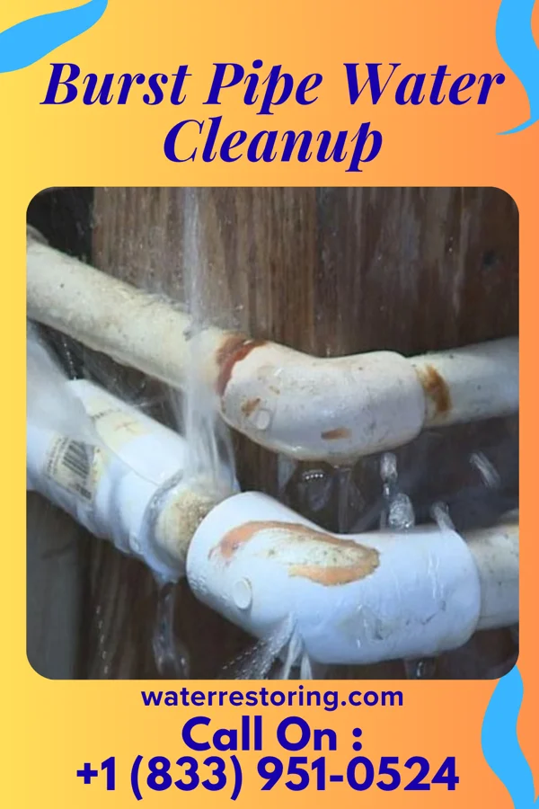 Burst Pipe Water Cleanup in Sumpter, OR